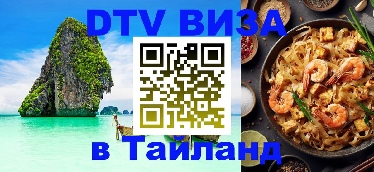 Оформление DTV визы под ключ: стоимость и тарифы, только загранпаспорт - Новомосковск  07.12.2025 